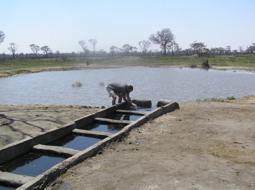 We did find water in one water hole, we found animals too. But possibly due to the recent fire they were very shy and scampered off the second the spotted us. We absoloutly had to refresh ourselves in the water hole. The temprature was about 40 degrees and very dry. This was one of the few solar pumps was cane accross that were actually working.