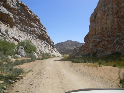 Namakwa  Namibia 2011 1372 (Medium).JPG