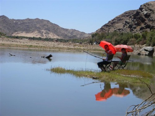 Namakwa  Namibia 2011 1564 (Medium).JPG