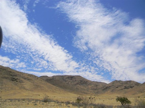 Namakwa  Namibia 2011 2379 (Medium).JPG