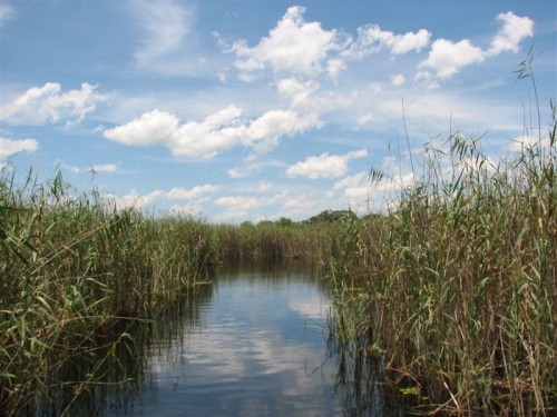 44 Oppad met die Kwando rivier na Mazambala eiland in die sentrale Caprivi.JPG