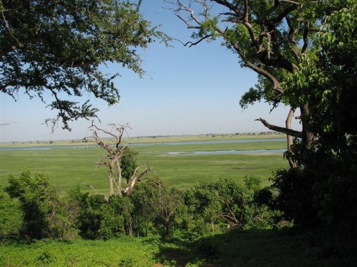 59 Chobe uitsig op die waterfront.JPG