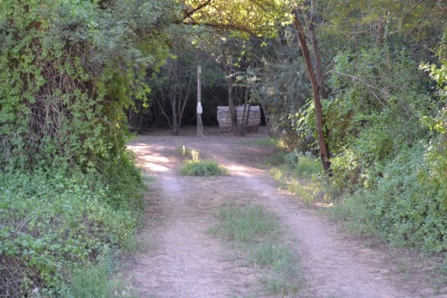 shaded camp sites
