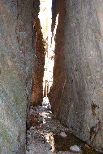 Bokloof Hike