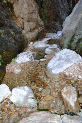 Bokloof Hike