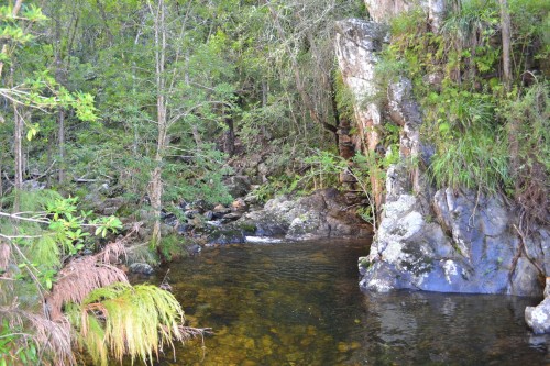 rock pools