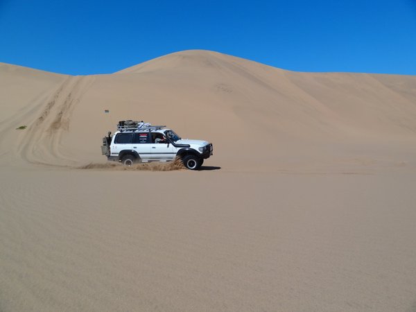 Namib 2011 292.jpg