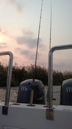 Morning on the Zambezi