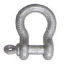 Bow Shackle with Screw Pin.JPG