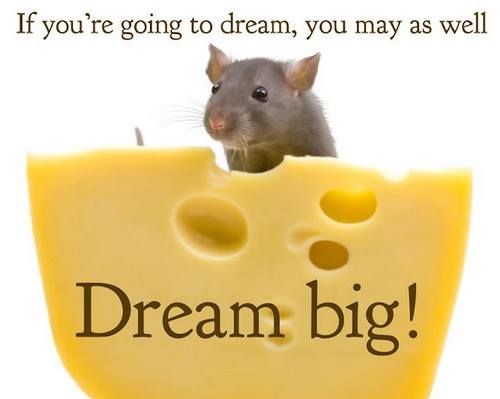 Dream big