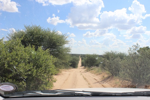 The road from the entrance gate to Mpayetutlwa Pan