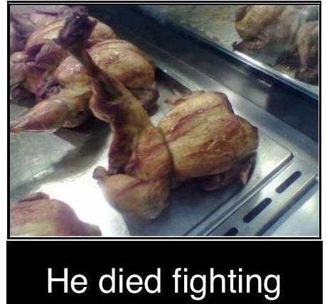 died fighting.jpg