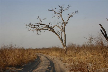 die khaudum is baie droog