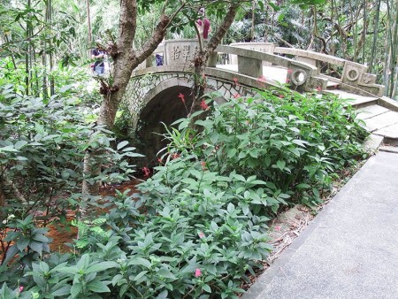 Shenzhen Botanical Gardens