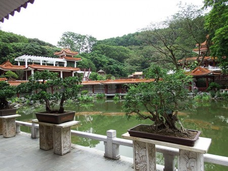 Shenzhen Botanical Gardens