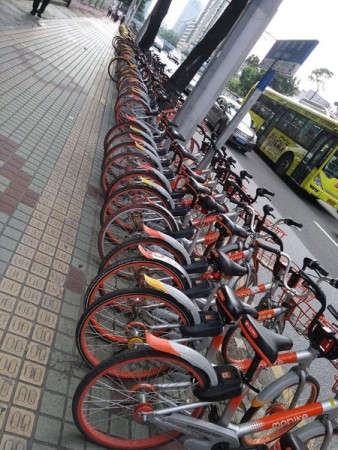 Guangzhou Bike sharing. Even the little yellow line at the and are more Bicycles, just from another company.