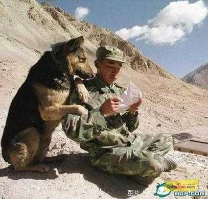 Man's best friend.jpg