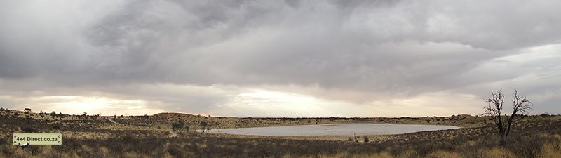 Kgalagadi 2018