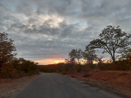 005 Sunrise at Pafuri.jpg